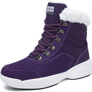 Dannto Heat Snow Boots for Ladies Waterproof Winter Ankle Booties Out of doors Fur Lined Anti-Slip Chilly Sneakers